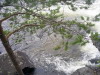 Сплав по реке Кереть